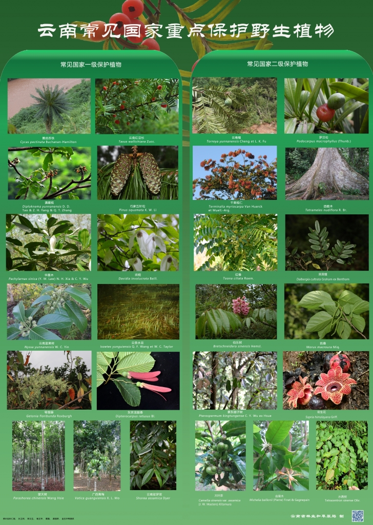 以案普法：危害国家重点；；；ぶ参镒